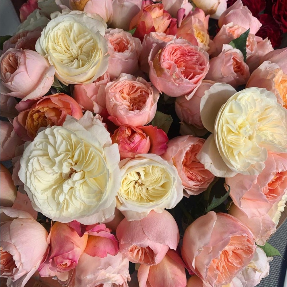 Meet your Posher, Diora